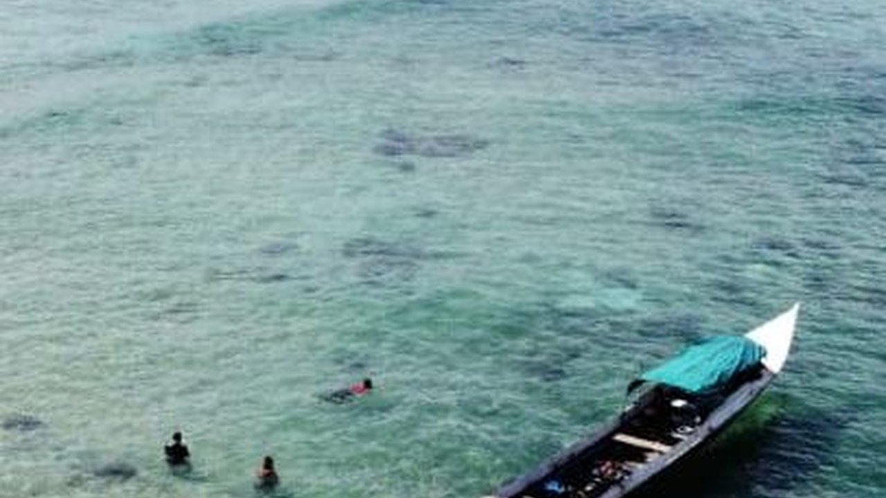 Wisata Laut Pulau Miang yang Mengagumkan, Spot Bawah Laut dan Mancing Terbaik