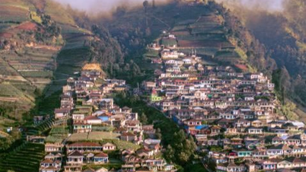 Menilik Keindahan Kaliangkrik, Negeri Atas Awan-nya Magelang Serasa di Himalaya