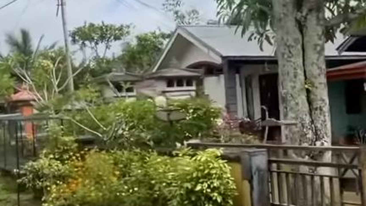 Menyusuri Kampung Bali di Kalimantan Barat, Tetap Pertahankan Warisan Budaya Leluhur