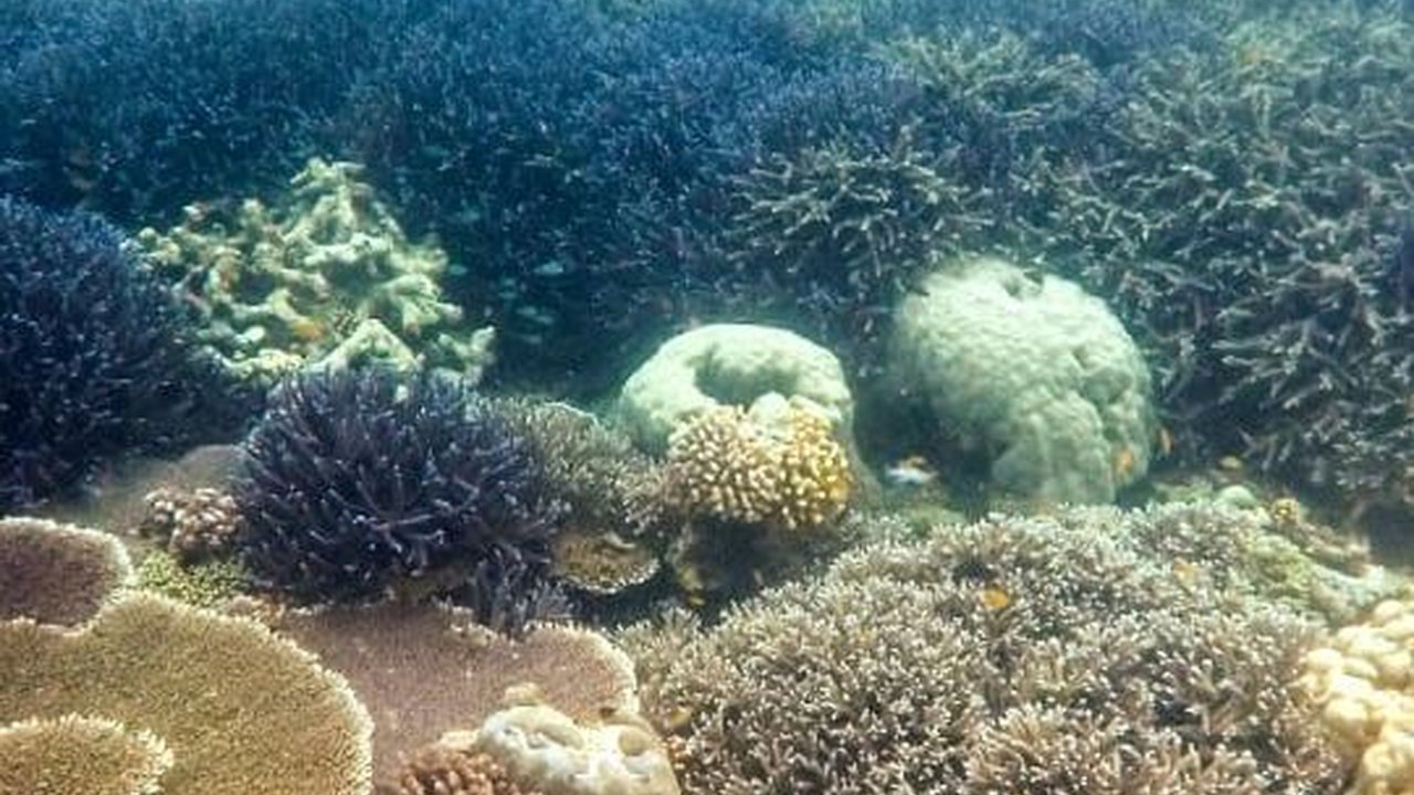Mengenal Kutai Timur dari Obyek Wisata yang Dikembangkan