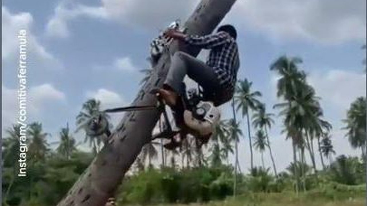 VIDEO: Pakai Robot Ini Panjat Pohon Kelapa Tanpa Tenaga dan Bahaya