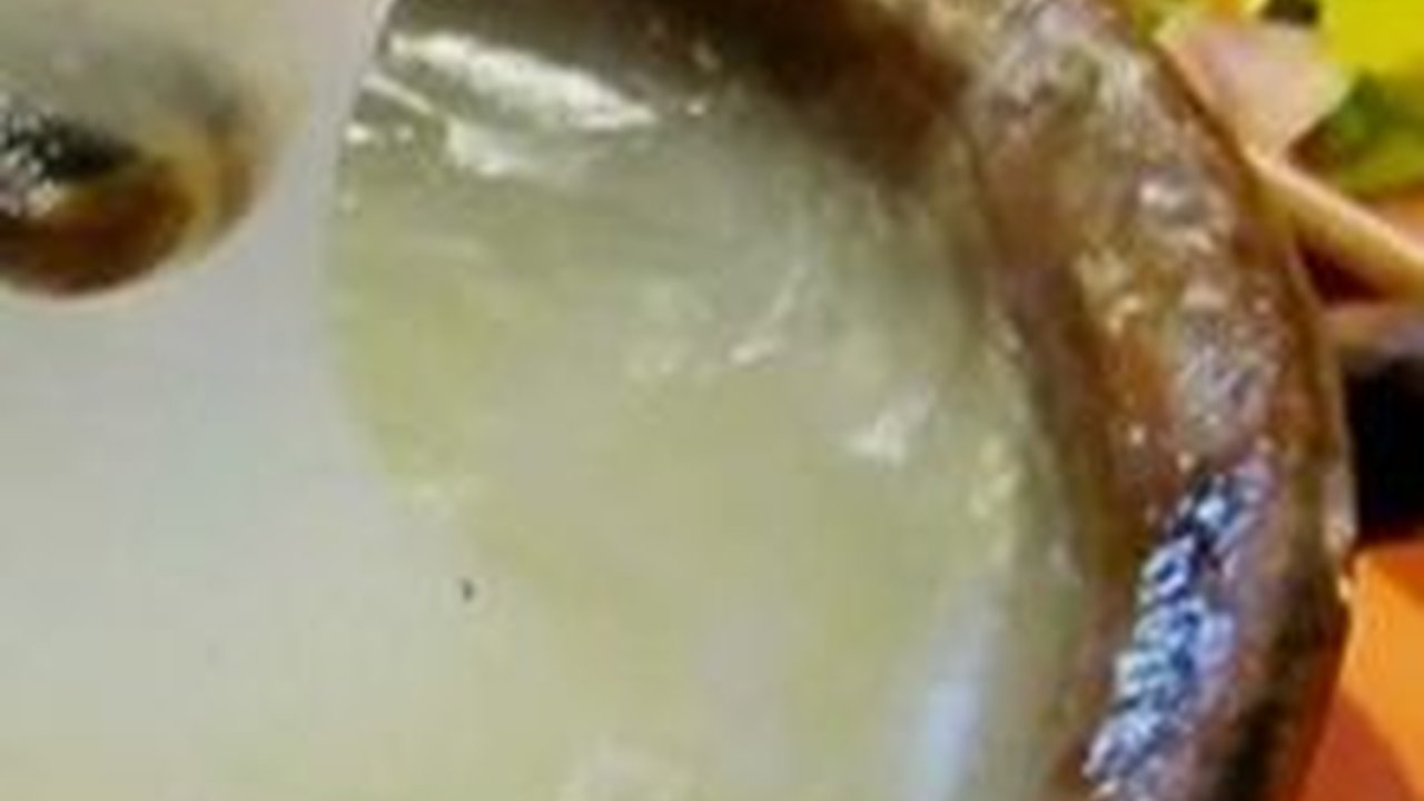 Papeda Adalah Makanan Khas Papua Berupa bubur Sagu, Begini Cara Buatnya