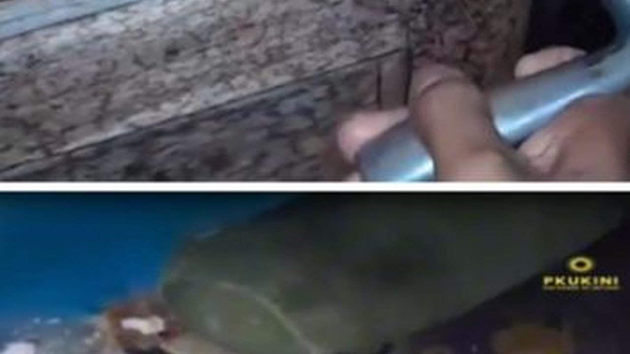 Viral Wanita di Pekanbaru Timbun Sampah di Kamar Kosnya, Diduga Idap Hoarding Disorder