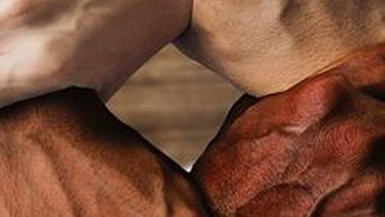 Diaspora adalah Orang yang Bermigrasi, Ketahui Penyebab, Jenis dan Contohnya