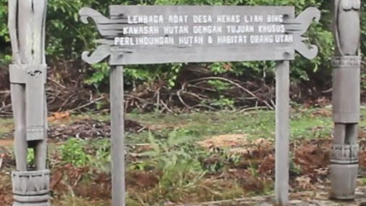 Hutan Lindung Wehea yang Dijaga dengan Pendekatan Hukum Adat