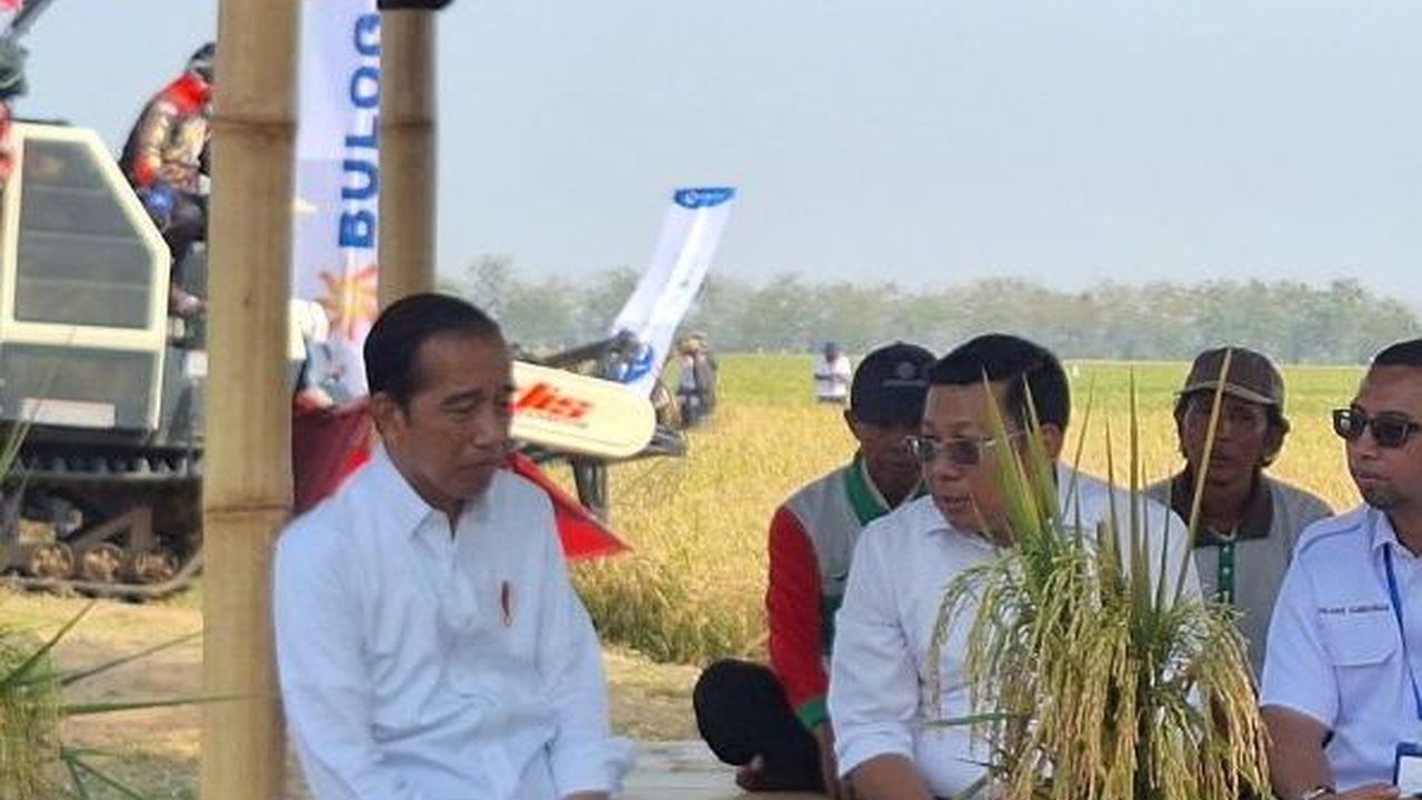 Janji Jokowi ke Petani: Subsidi Pupuk Akan Saya Tambah