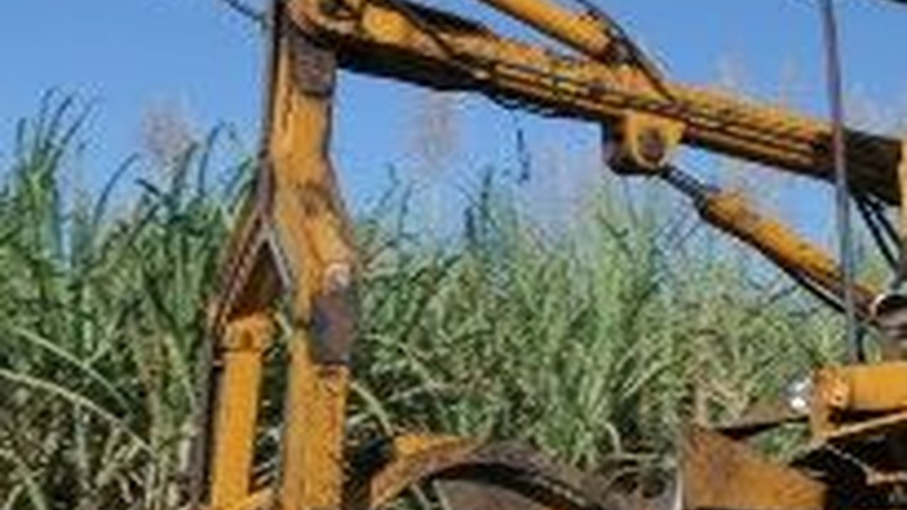 Ternyata Ini Penyebab Produksi Gula Indonesia Kalah Saing dari Brazil