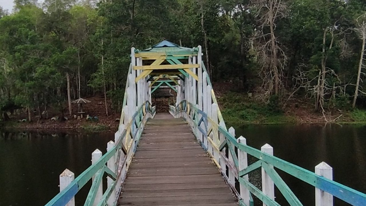 Menikmati Wisata Mangrove Lati Tuo Desa Klempang Sari Kabupaten Paser