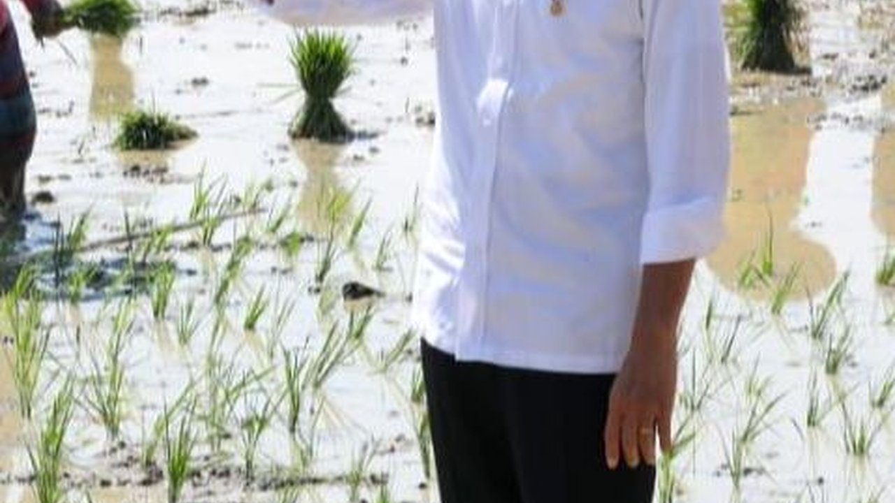 Jenderal-Jenderal TNI-Polri 'Jebolan' Solo Sambut Jokowi, Bintang Empat Dampingi ke Sawah