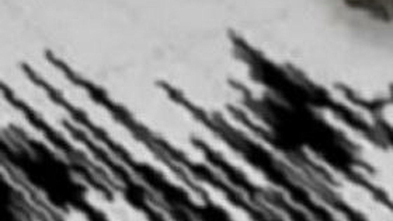 Gempa M 4,9 Guncang Bayah Banten, Dipicu Aktivitas Sesar Bawah Lalut