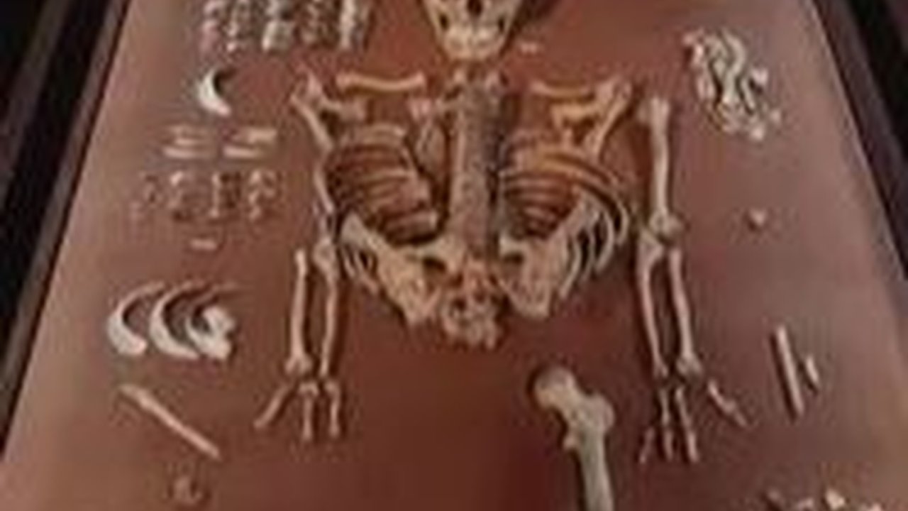 Sosok Dukun dan Bayi yang Ditemukan dalam Makam Berusia 9.000 Tahun Akhirnya Terungkap, Ternyata Ada Hubungan Darah