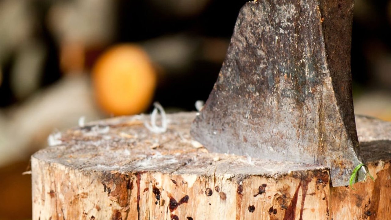 Mengenal Kapak Persegi: Fungsi, Jenis, dan Ciri-cirinya