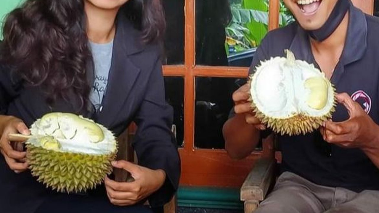 Mengunjungi Desa Wisata Banjaroya, Surganya Pecinta Durian di Kulon Progo