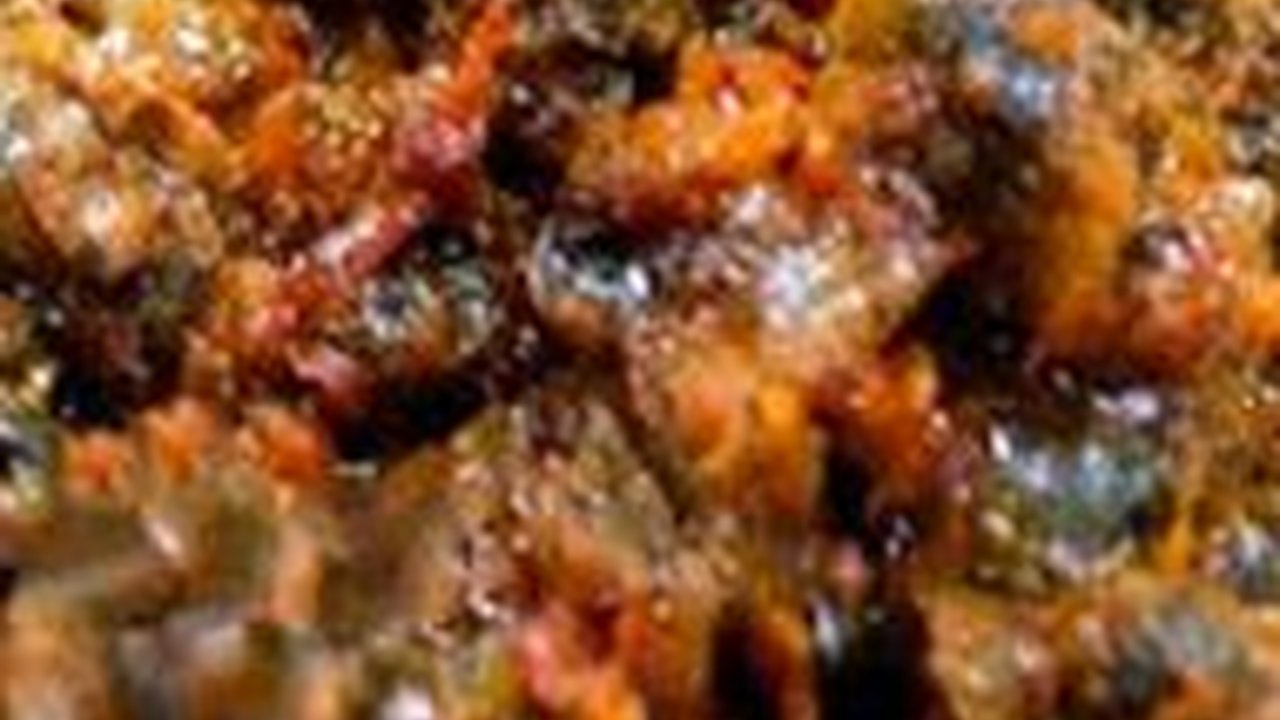 Mencicipi Kerang Rendang, Olahan Laut yang Memakai Bumbu Rendang Khas Urang Awak di Minangkabau