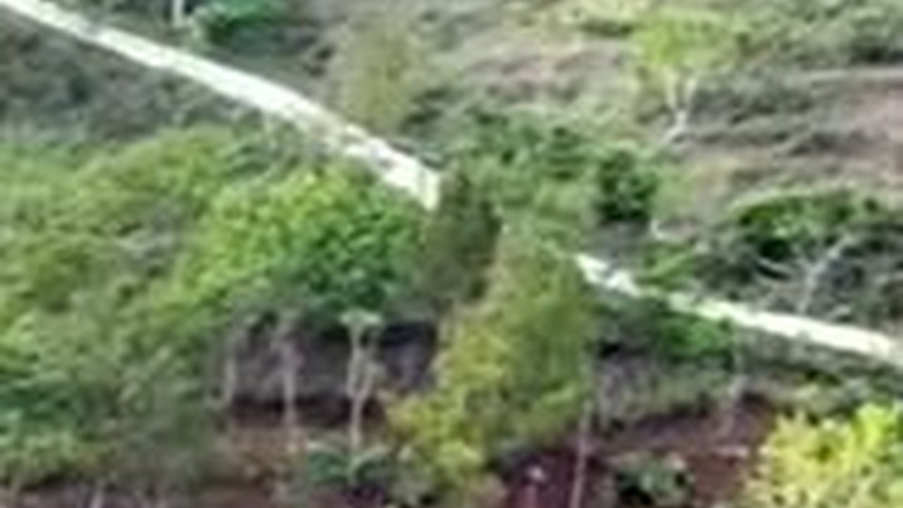 Melihat Keunikan Pasar Kuno di Pedalaman Gunung Gajah, Terpencil dan Punya Akses Jalan Terjal Menanjak