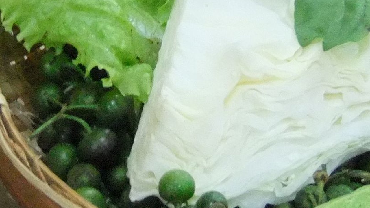 Kisah Sayur Lalap Khas Sunda yang Jarang Diketahui, Pernah Selamatkan Orang Belanda di Zaman Perang