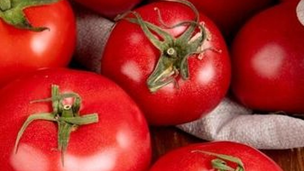 Tomat, Rahasia Kecantikan Wajah yang Tersembunyi