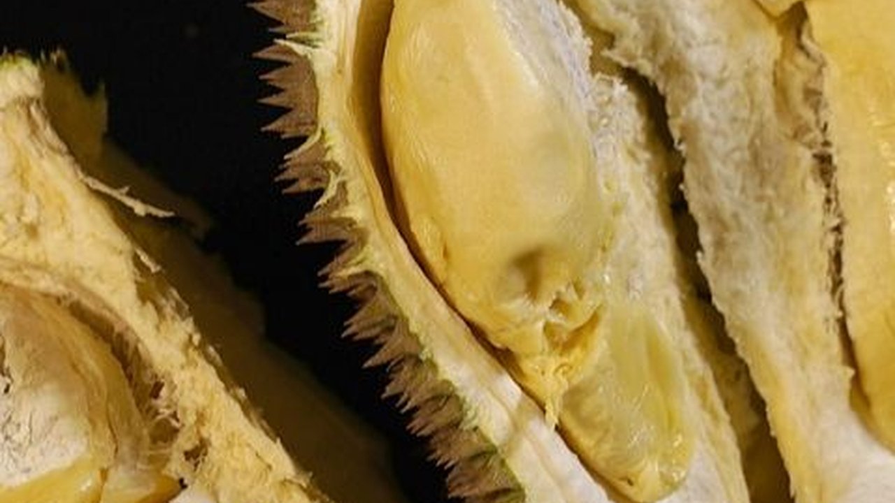 Manfaat Durian untuk Anak, Mendukung Pertumbuhan Tulang