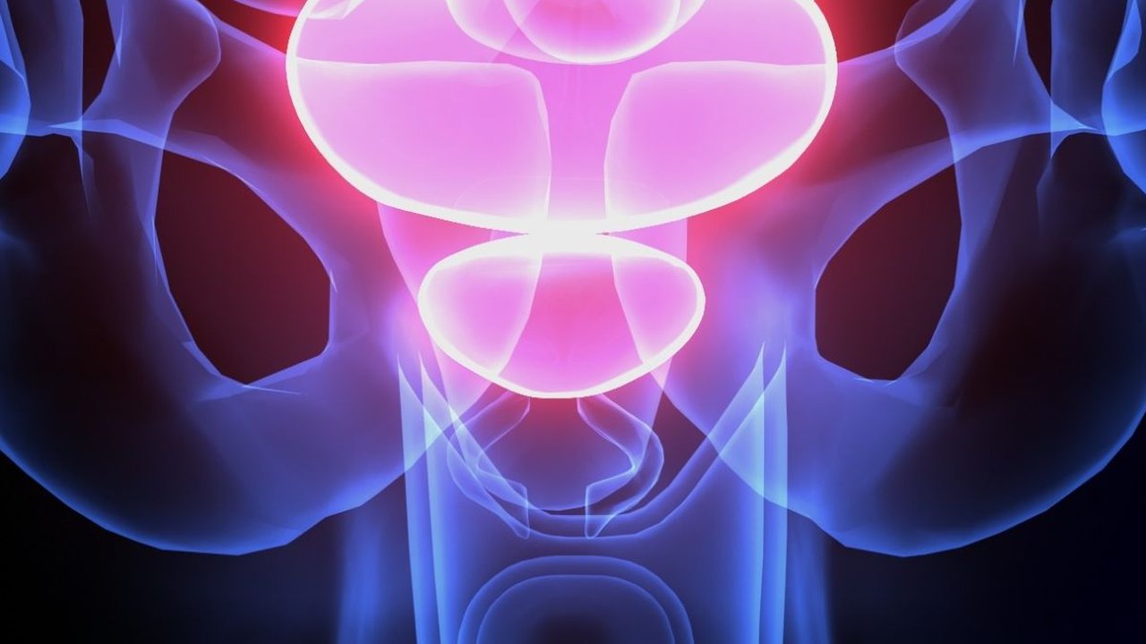 Gejala Radang Prostat yang Penting Diwaspadai, Penyakit Akibat Menahan Kencing