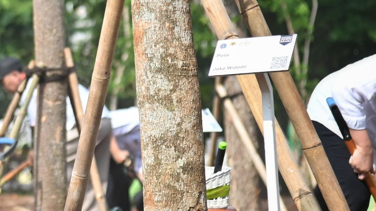 Sebanyak 2.021 Pohon Ditanam di Bogor Demi Menekan Emisi Karbon