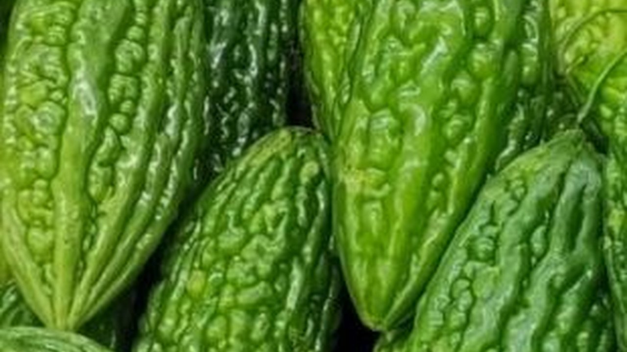 Bukan Diremas Garam, Ini Cara Baru Penghilang Rasa Pahit Pare dengan 2 Bahan Dapur