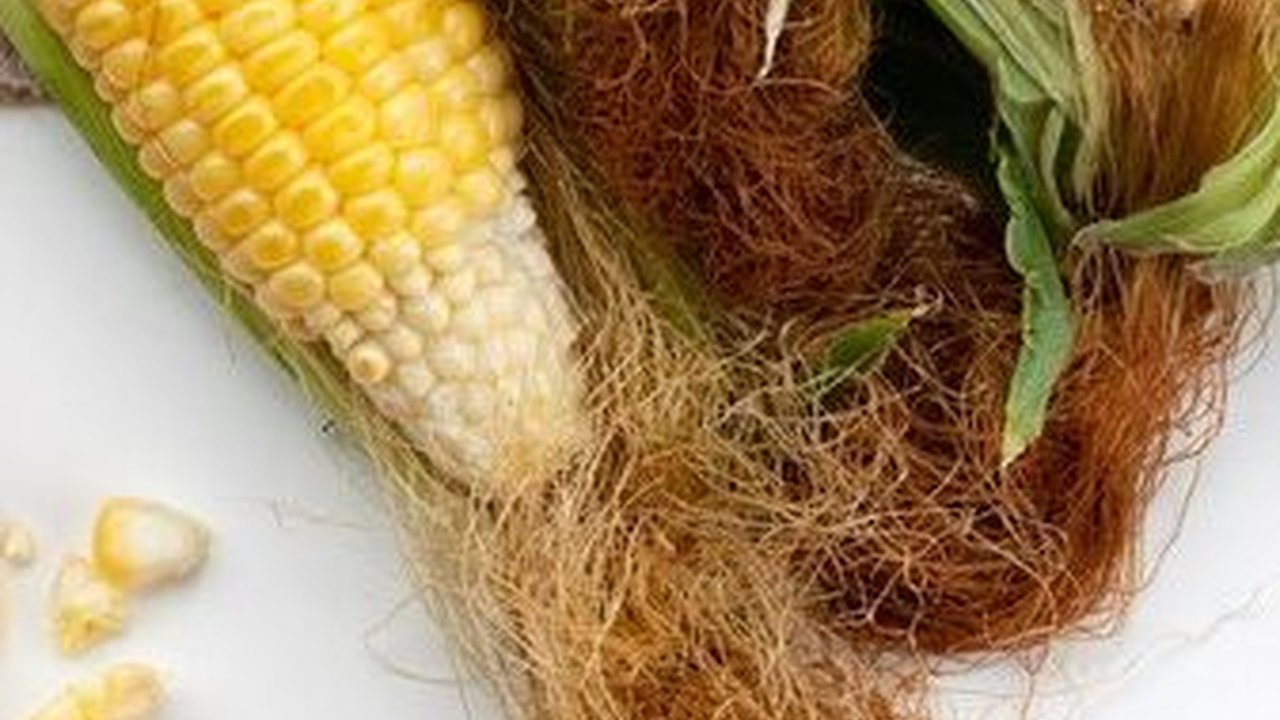 Siapa Sangka Ternyata Rambut Jagung Memiliki Manfaat yang Bagus untuk Tubuh