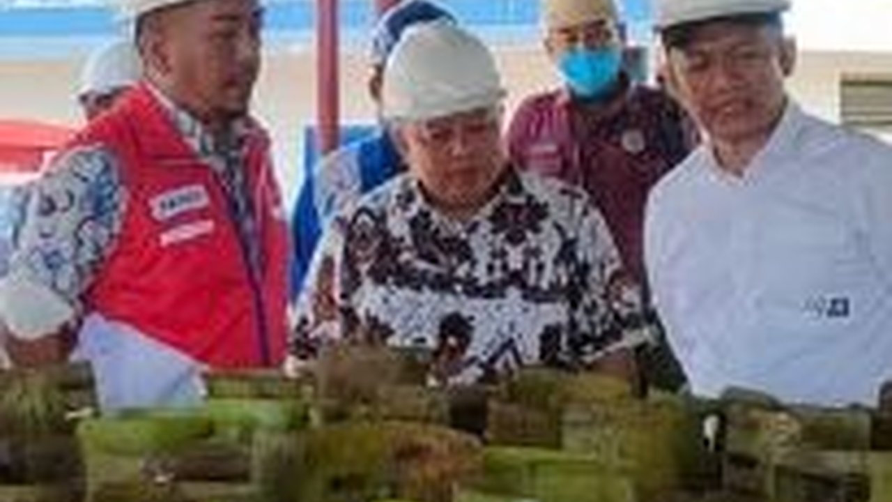 Beli Gas LPG 3 Kg Wajib Terdata di Pertamina Mulai 1 Januari 2024, Begini Cara Daftarnya
