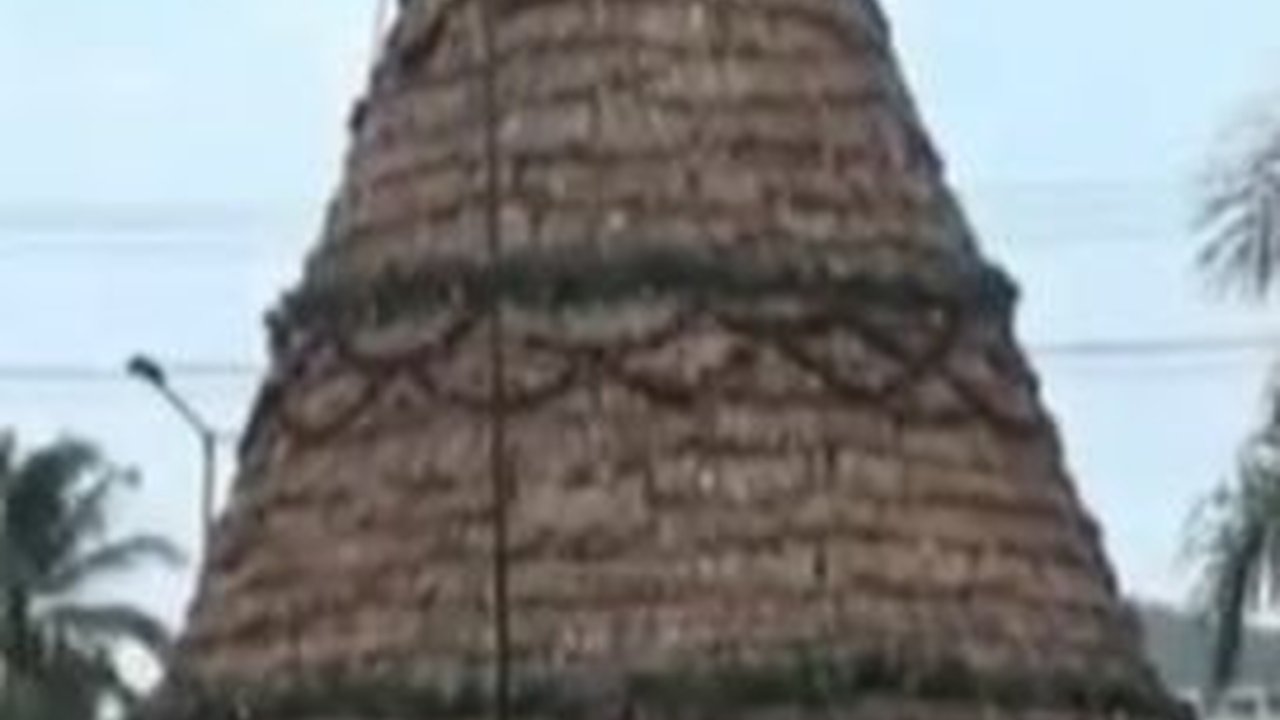 Unik! Pohon Natal di Semarang Dibuat dari Tanaman Eceng Gondong, Raih Rekor Muri