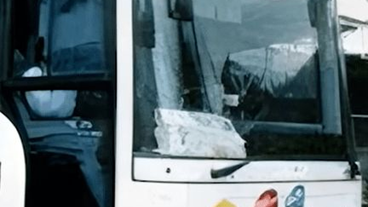 Viral Usai Ipad Penumpang Hilang, Begini Awal Mula Berdirinya Rosalia Indah