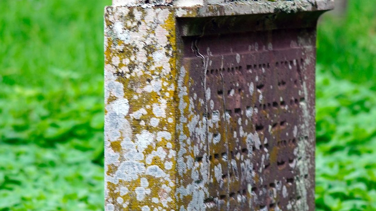 Demi Menghindari Kematian, Orang Ini Rela Keluarkan Duit Rp 31 Miliar per Tahun