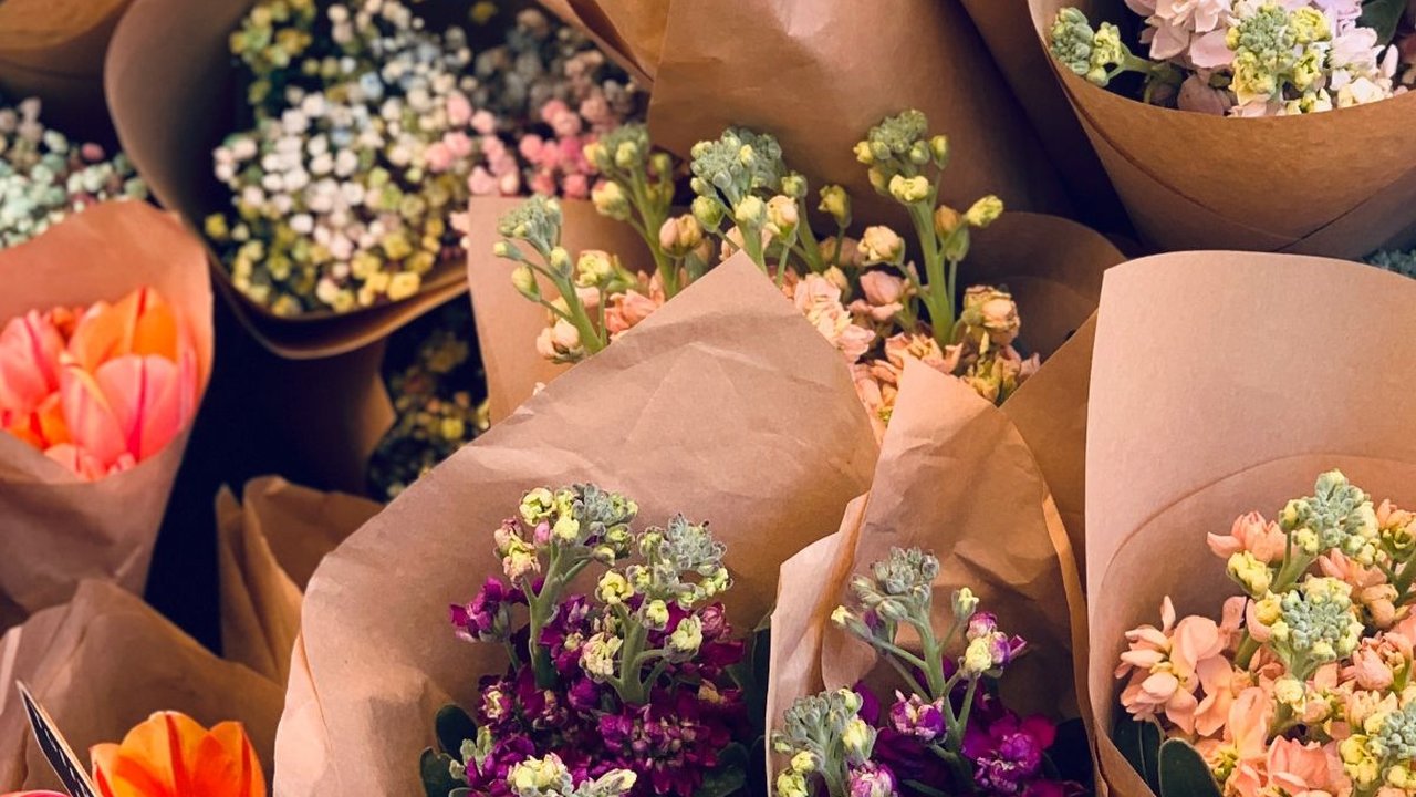 7 Bunga yang Cocok untuk Kado Hari Ibu, Ketahui Makna Masing-Masing Jenisnya