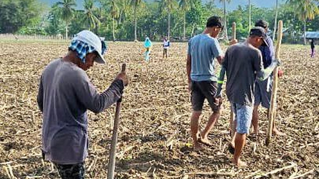 Debat Cawapres Harus Perjelas Program Kredit untuk UMKM Pertanian