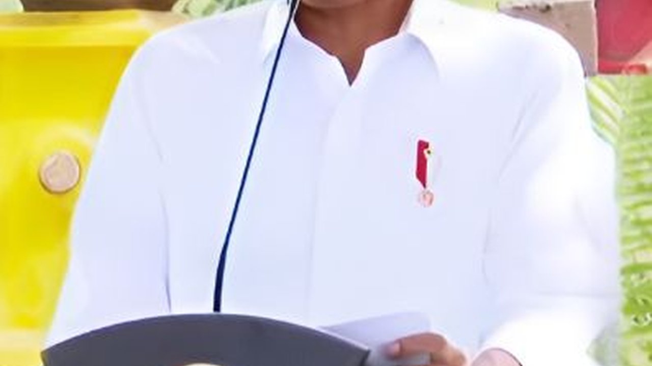 Jokowi akan Kenalkan Presiden Terpilih ke Temannya, MBZ dan MBS