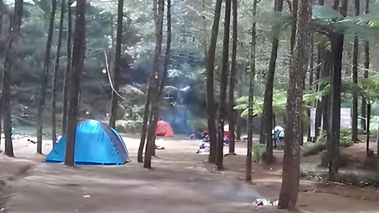 Asyiknya Berkemah di Bukit Kanaga Cikijing, Pemandangan Kabut dan Hutan Pinusnya Bikin Nagih