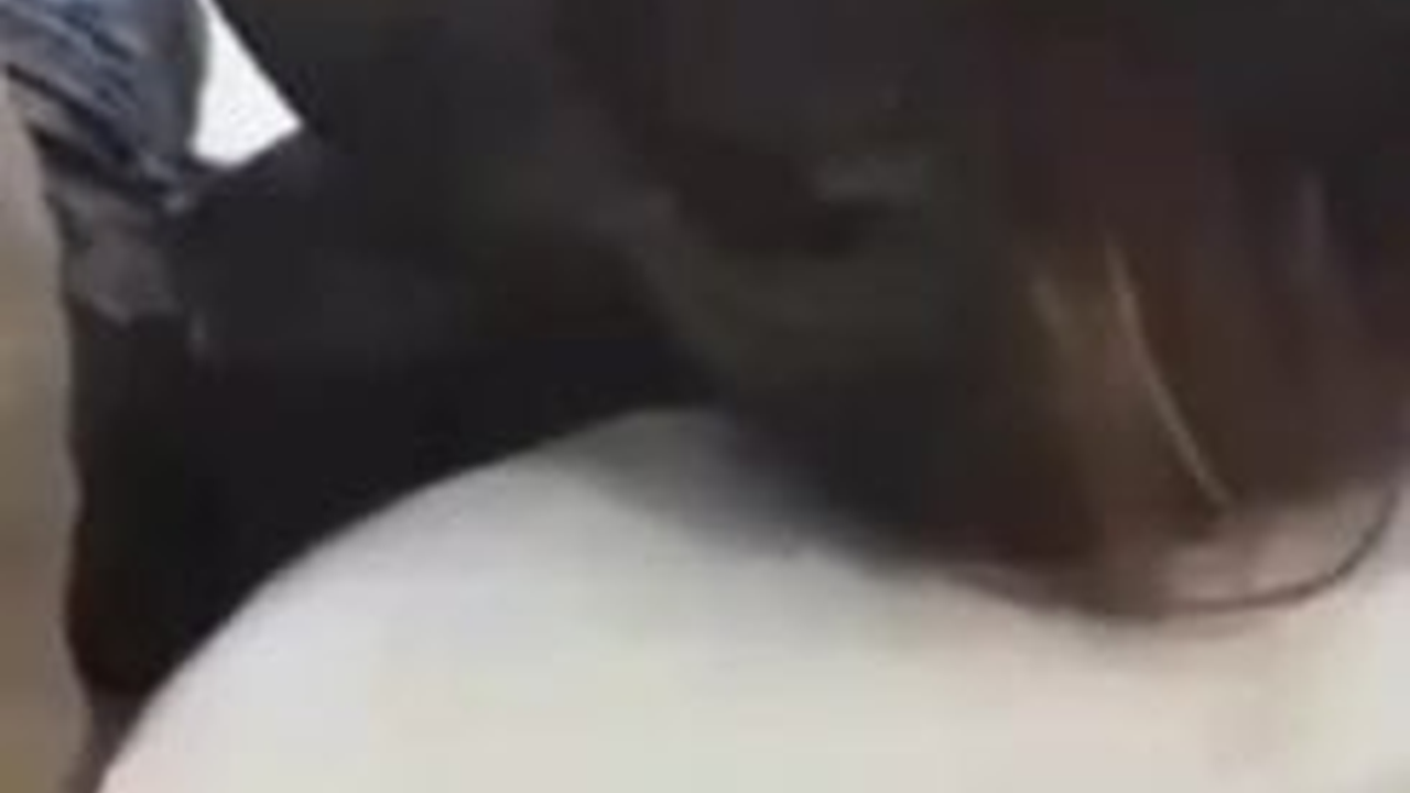 Tenggelam di Dasar Laut Cukup Lama & Masih Utuh, Begini Penampakan Jasad Firaun yang Kejar Nabi Musa