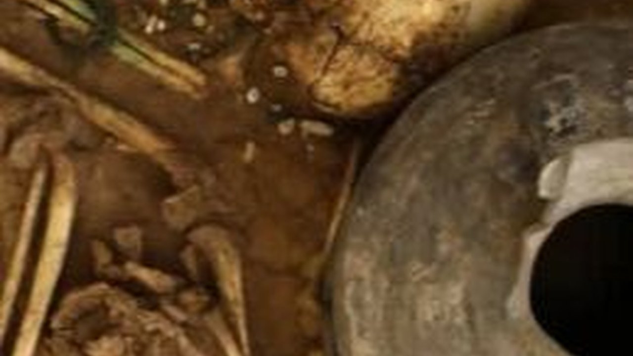 Mencekam, Makam Kuno Ini Berisi Sisa-Sisa Tulang Bocah Berusia 3.000 Tahun Bersama Kerangka Kuda Berhias Kalung Perunggu