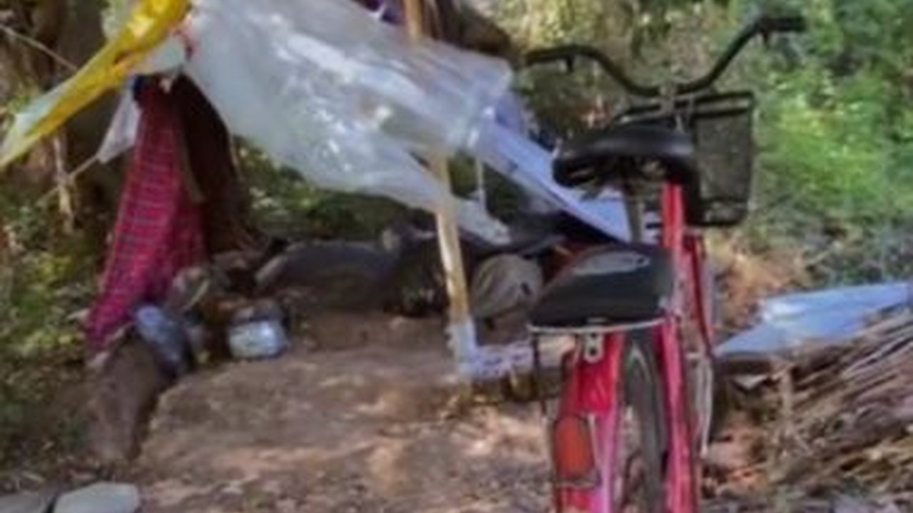 Viral Bapak dan Anak  Tinggal di Gubuk Usai Ditinggal Istri, Bikin Haru Warganet