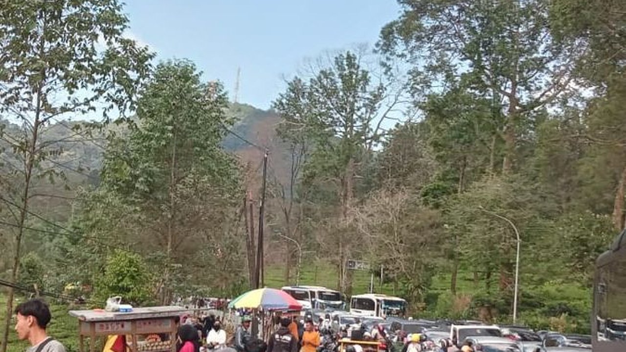 Lebih dari 110.000 Kendaraan Masuk Puncak Bogor Selama Libur Natal