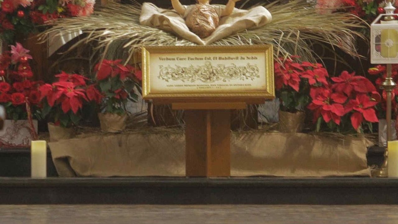 FOTO: Suasana Misa Natal 2023 di Gereja Katedral Jakarta Berlangsung Khidmat