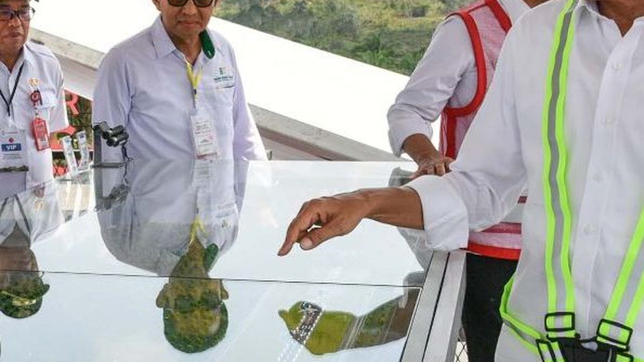 Wali Kota Balikpapan Anggap Membangun IKN Lebih Realistis daripada Buat 40 Kota Setara Jakarta