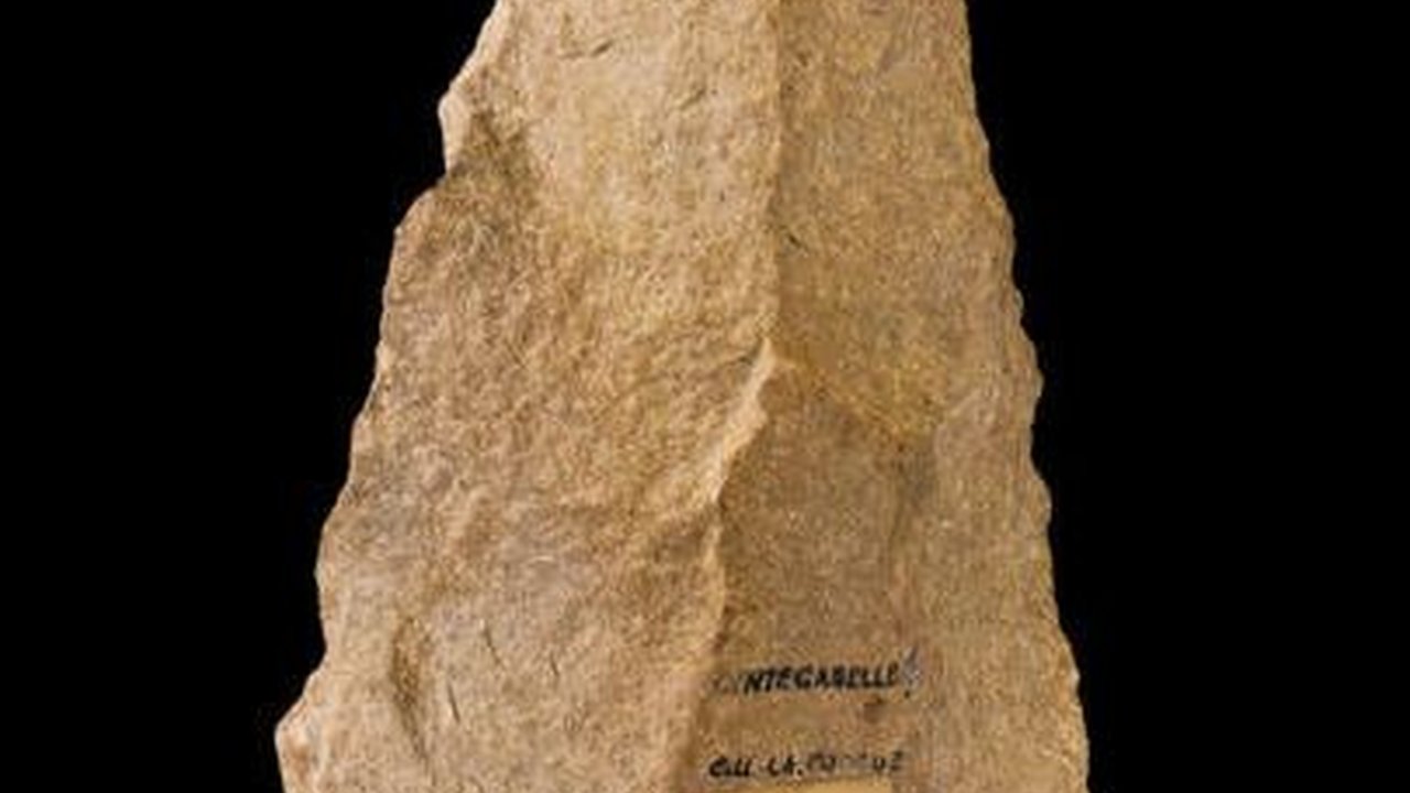 Mengenal Kapak Perimbas: Asal, Fungsi, dan Jenisnya