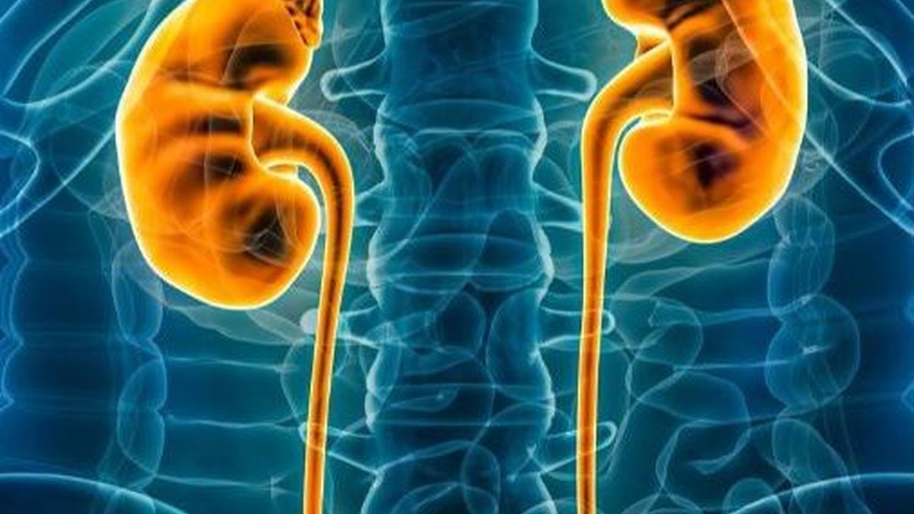 Penyebab Gagal Ginjal di Usia Muda yang Perlu Diwaspadai