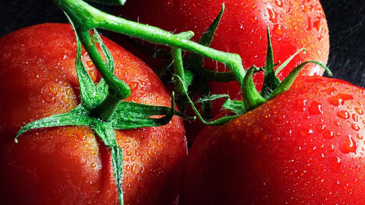 7 Manfaat Jus Tomat bagi Kesehatan, Bantu Tingkatkan Kekebalan Tubuh