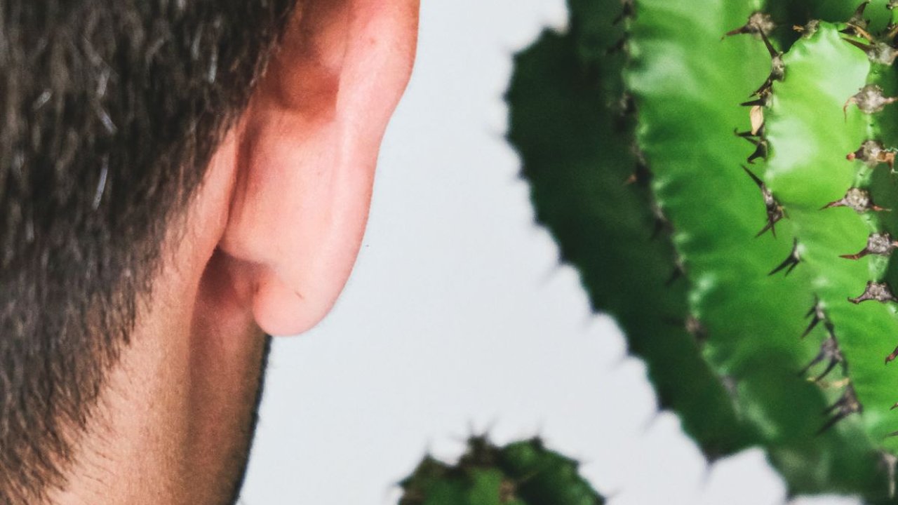 Penyebab Gendang Telinga Pecah Beserta Cara Mengatasinya, Penting Diketahui