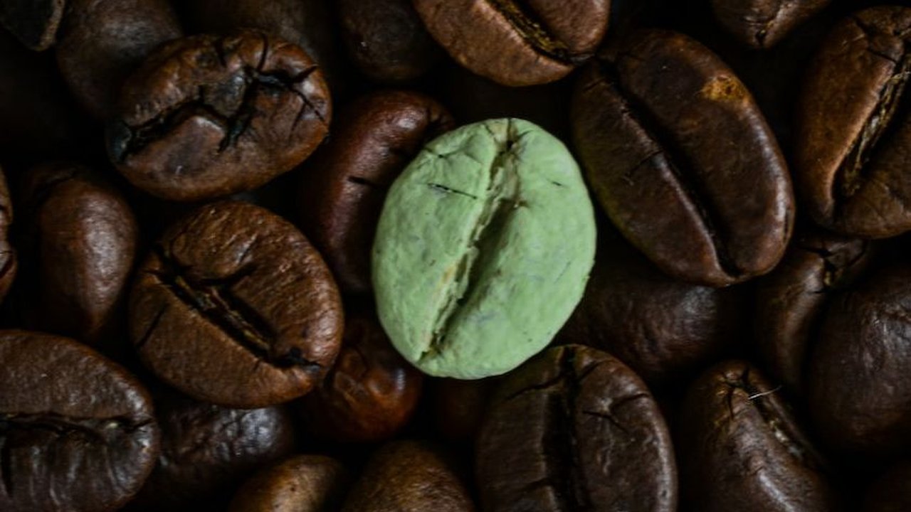 Perbedaan Kopi Hijau dan Kopi Hitam, Berikut Manfaat Keduanya