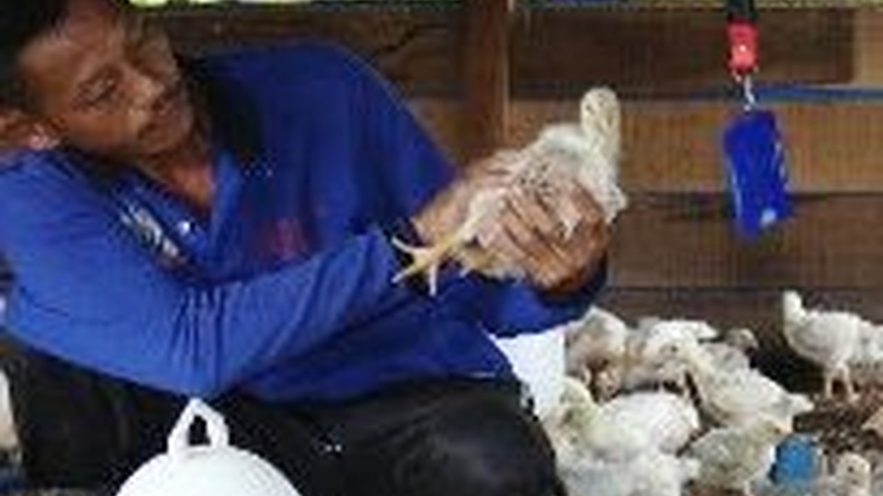 Antisipasi Peningkatan Permintaan Protein, Perusahaan Nutrisi Global Akusisi Perusahaan Indonesia