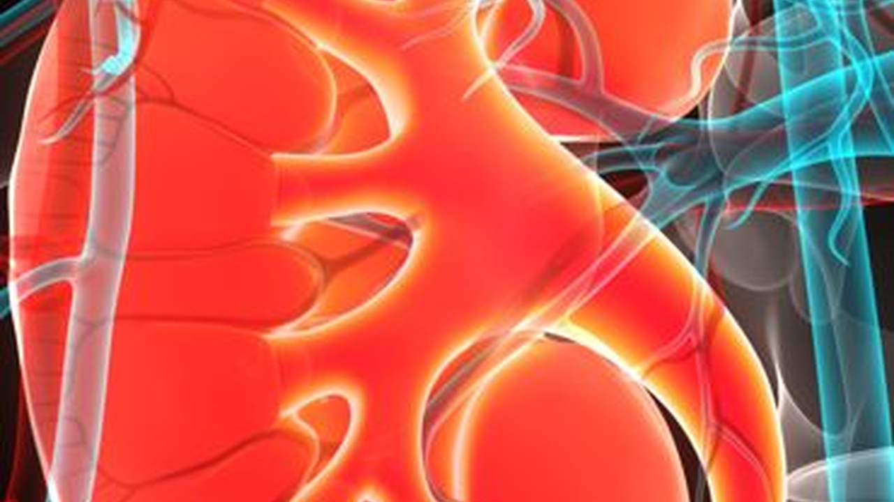 Komplikasi Gagal Ginjal Kronis yang Berbahaya, Bisa Sebabkan Kerapuhan Tulang