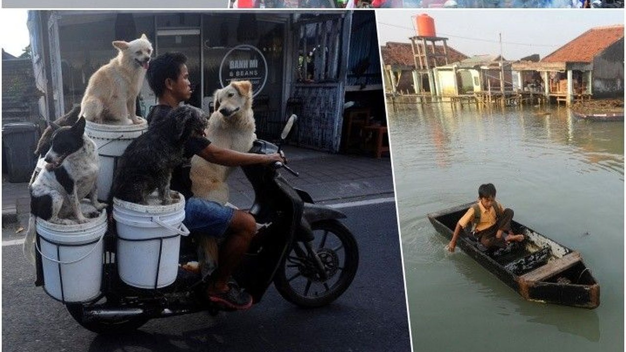 Kaleidoskop: Foto Terbaik Karya Fotografer merdeka 2023