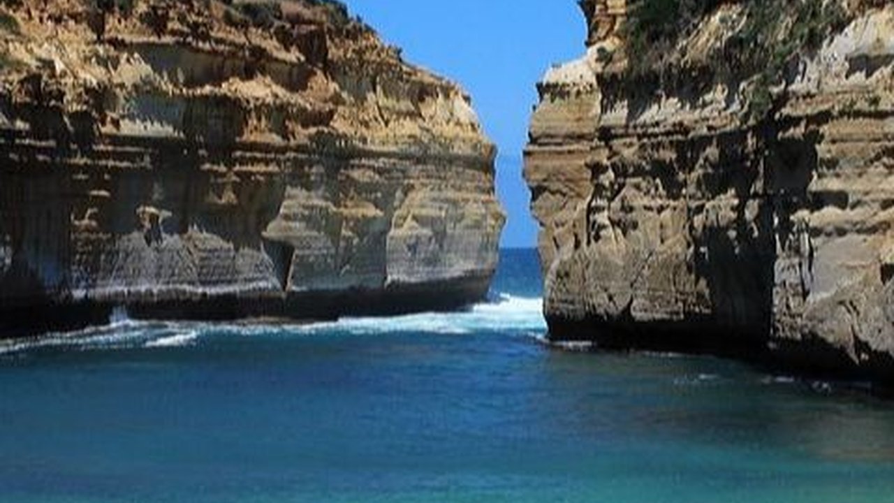 Mengapa di Australia Banyak Hewan Beracun? Ternyata Ini Alasannya