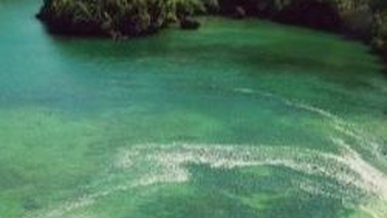 5 Fakta Pulau Sempu Malang, Pantai Kecil di Tengah Hutan yang Terlarang bagi Wisatawan
